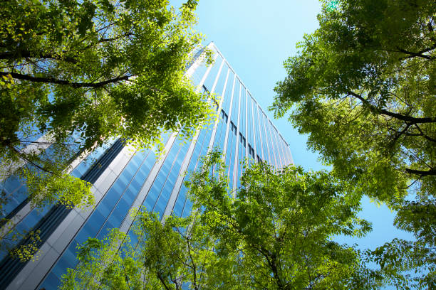 istock Fresh green leaves and skyscrapers 668802114