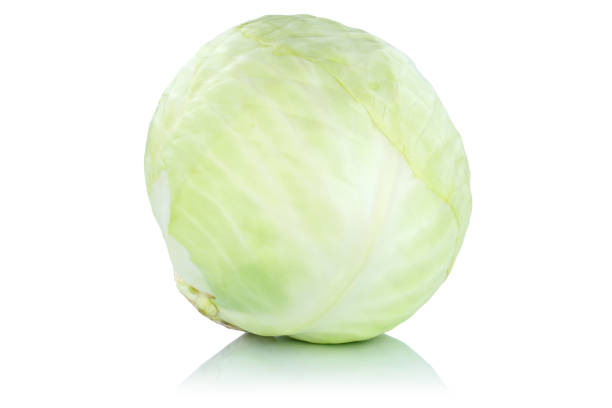 kapusta warzyw izolowana - sauerkraut cabbage vegetable white cabbage zdjęcia i obrazy z banku zdjęć