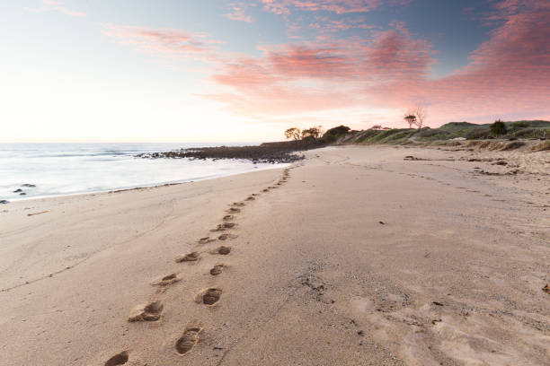 Footprints on an empty Australian beach lead towards a pink sunrise.