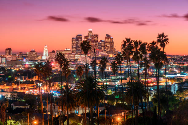 Sunset of Los Angeles Beautiful sunset of Los Angeles downtown skyline and palm trees in foreground southern california stock pictures, royalty-free photos & images