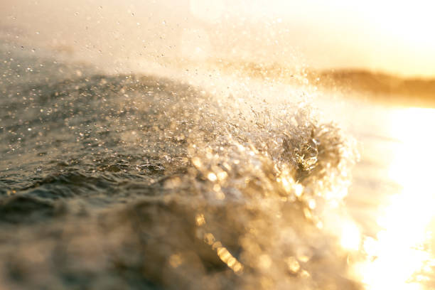 Close-up of water spraying off of a wave at sunset.