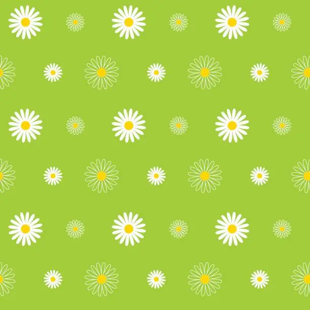 Vector illustration of Daisy Seamless Pattern