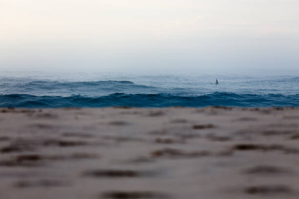 Surfer Shrouded in Mist stock photo