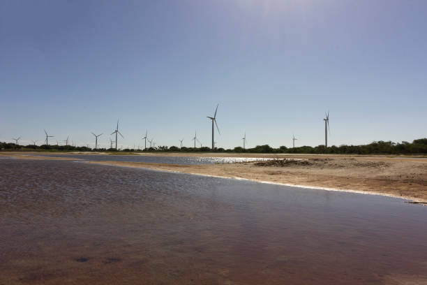 istock Aeolic turbines in Guamare 668837246