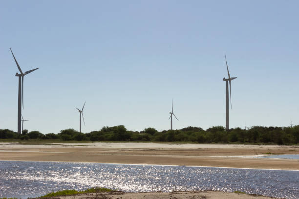 istock Aeolic turbines in Guamare 668837254