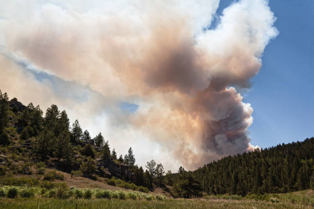 View of the High Park Fire, a very large wildfire in Northern Colorado.