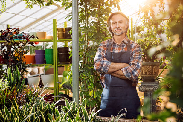 istock Gardener in the greenhouse 668843522