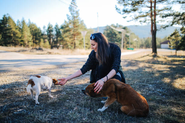 istock Young woman playing with dogs outside 668846628