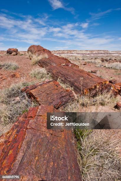 Petrified Logs At Rainbow Forest Stock Photo - Download Image Now - Arizona, Petrified Forest National Park, Petrified Wood