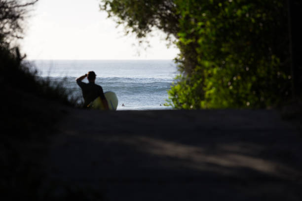 Surf Check stock photo