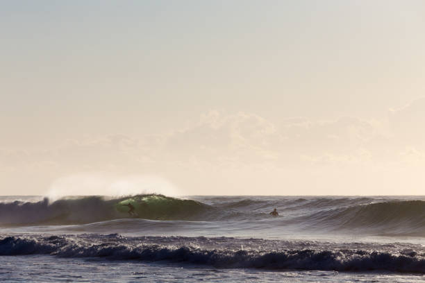 Back lit surfers enjoying a morning surf in Australia stock photo