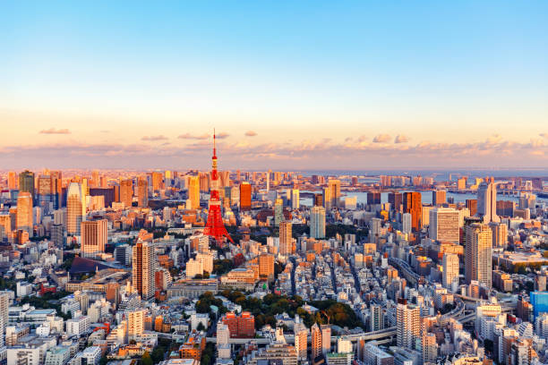 istock Tokyo, Japan skyline with the Tokyo Tower 668881026