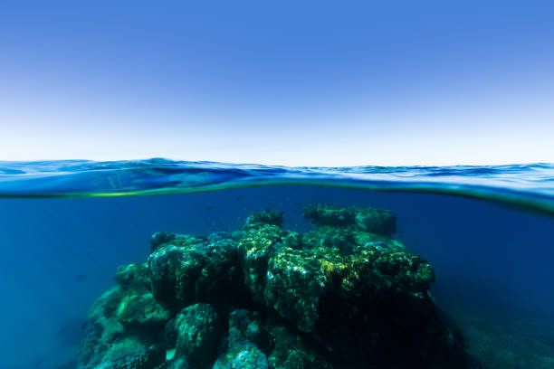 istock Coral Bommie on The Great Barrier Reef 668884388