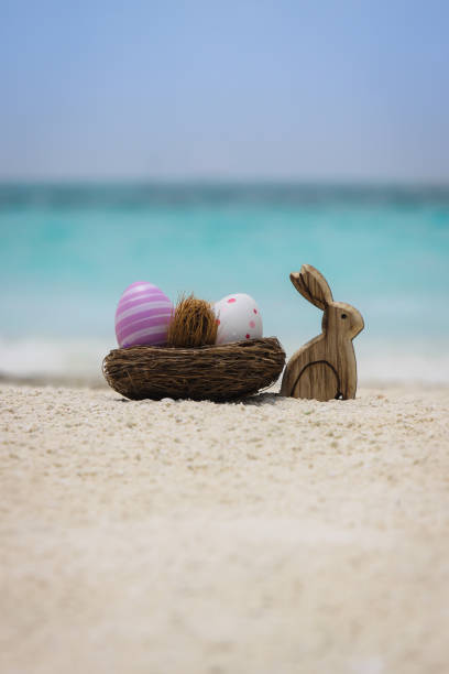 istock Easter Bunny by the sea 668895090