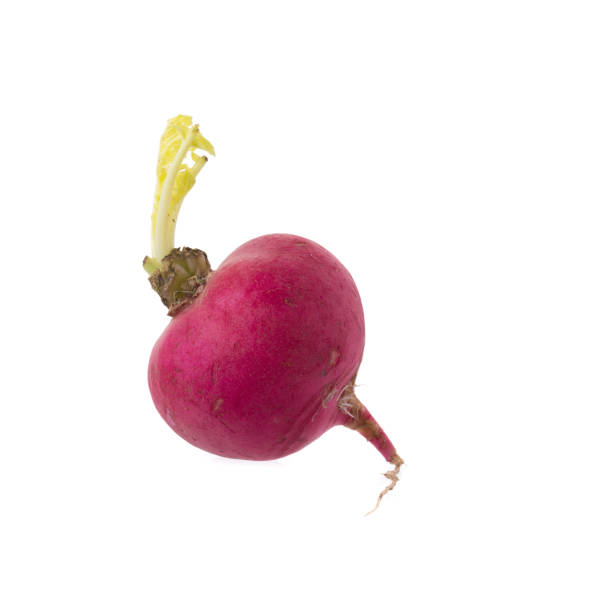 istock Red fresh radish Vegetable isolated on white background 668895308