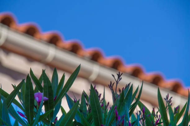 Roof in Sainte Marie Roof in Sainte Marie with flowers in the foreground gebäude stock pictures, royalty-free photos & images