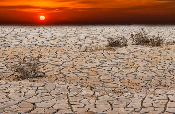 istock Global warming is a real threat for our civilization. 668909182