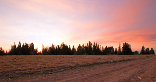 sykes ridge sunrise w pryor mountains wild horse range na linii stanu montana wyoming usa - montana sunrise mountain mountain range zdjęcia i obrazy z banku zdjęć