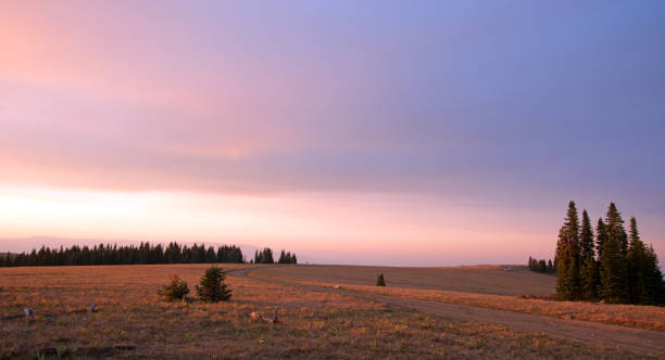 sykes ridge sunrise w pryor mountains wild horse range na linii stanu montana wyoming usa - montana sunrise mountain mountain range zdjęcia i obrazy z banku zdjęć