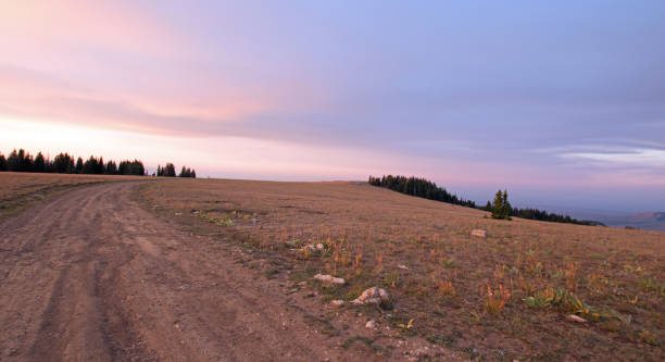 sykes ridge sunrise w pryor mountains wild horse range na linii stanu montana wyoming usa - montana sunrise mountain mountain range zdjęcia i obrazy z banku zdjęć