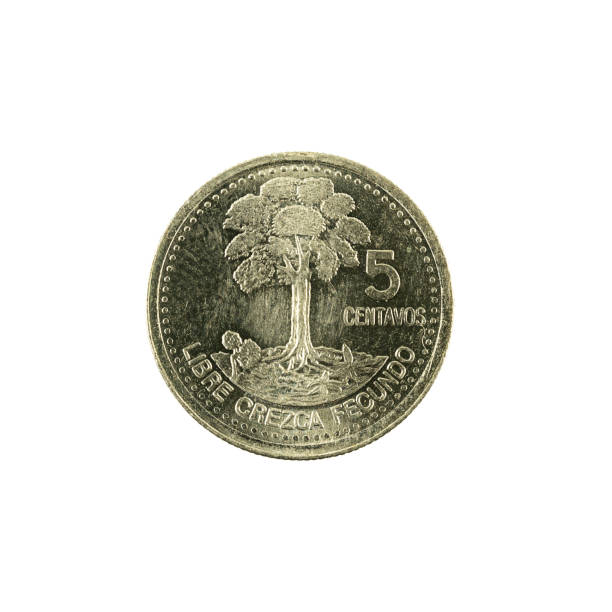 istock 5 guatemalan centavo coin (2000) obverse isolated on white background 668915424