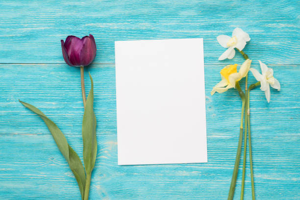istock tulip, primulas, paper card, turquoise table 668915978