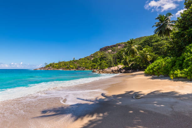 istock Untouched tropical beach in Seychelles 668919586
