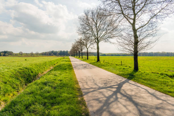 istock Long seemingly endless straight road in a flat landscape 668923572