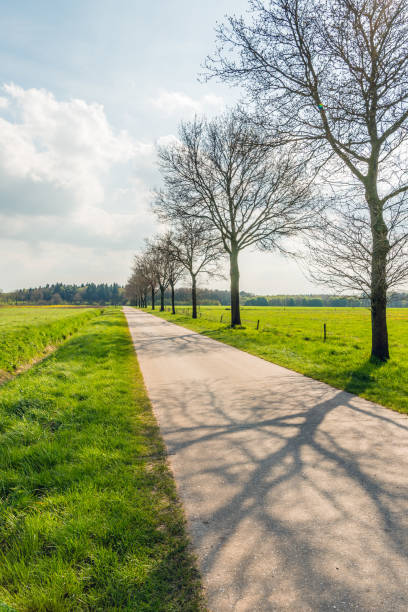 istock Long seemingly endless straight road in a flat landscape 668923600
