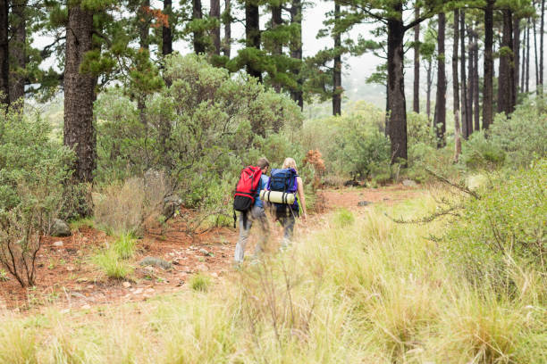 istock Young hiker couple hiking 668933012