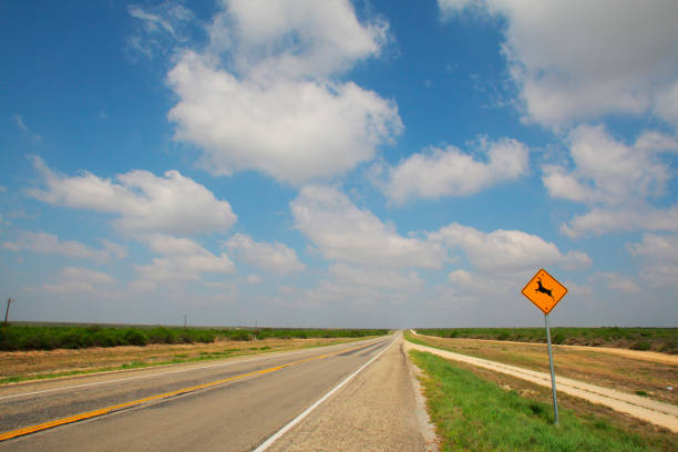 istock One of the Texas road 668938166