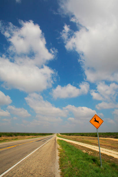 istock One of the Texas road 668938180