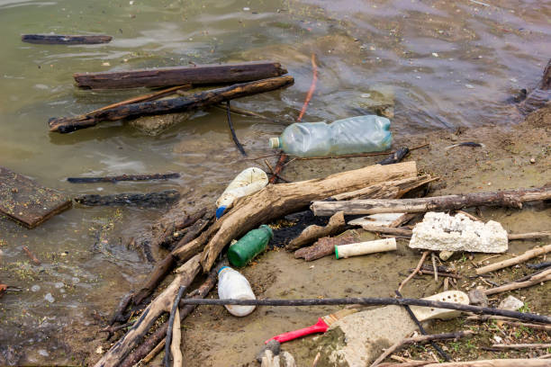 istock Plastic bottles and garbage waste on the shore 3 668947370