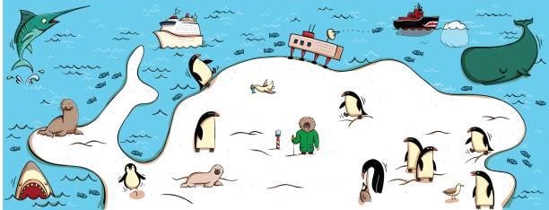 illustrierte karte der antarktis - antarctica penguin ice emperor stock-grafiken, -clipart, -cartoons und -symbole