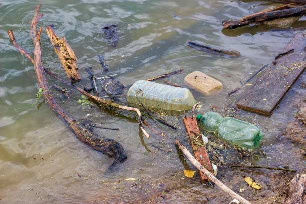istock Plastic bottles and garbage waste on the shore 5 668948392