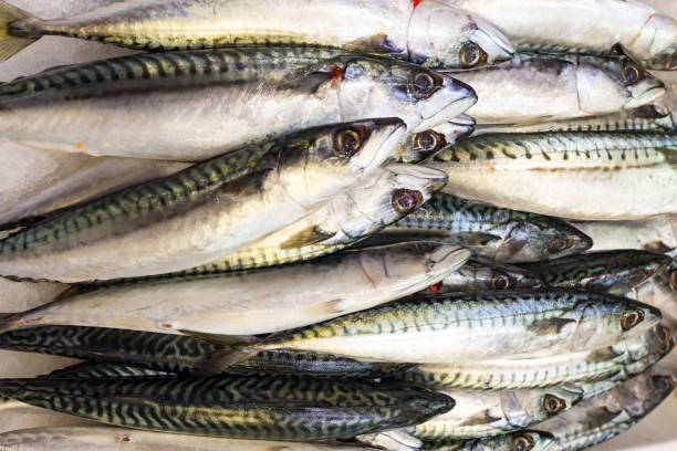 istock Sea fish on market stalls 668948534
