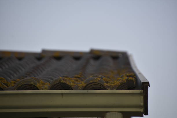 istock Roof tile of a house 668951208