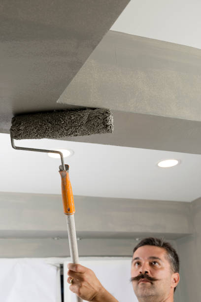 istock Manual Worker Painting House Interior 668965242