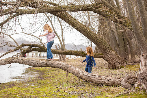 Side view of two young girls (sisters) playing on the bank of the Mississippi River on an early springtime day. Things are just beginning to turn green after a long brown winter. The younger sister has curly red hair and is watching as her old sister walks along, balancing on fallen tree. The old sister has curly blonde hair.