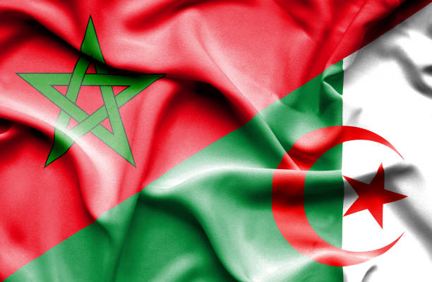 Waving flag of Algeria and Morocco Waving flag of Algeria and Morocco algeria stock illustrations
