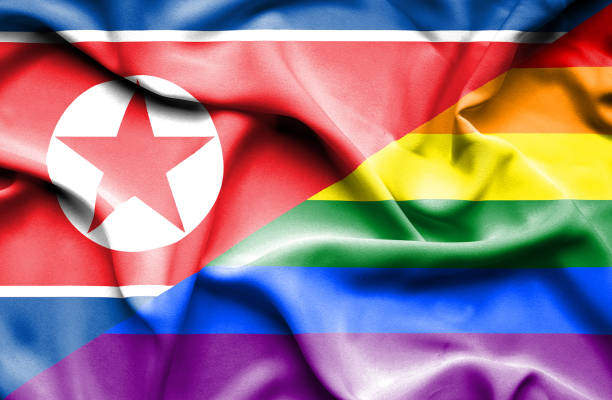 istock Waving flag of Pride and North Korea 668989446