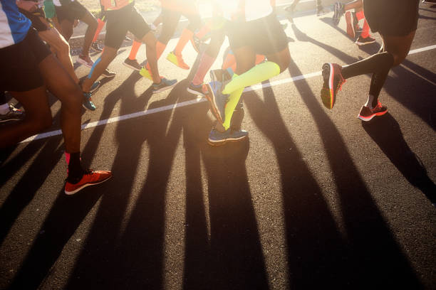 Legs of road runners with shadow on rod stock photo