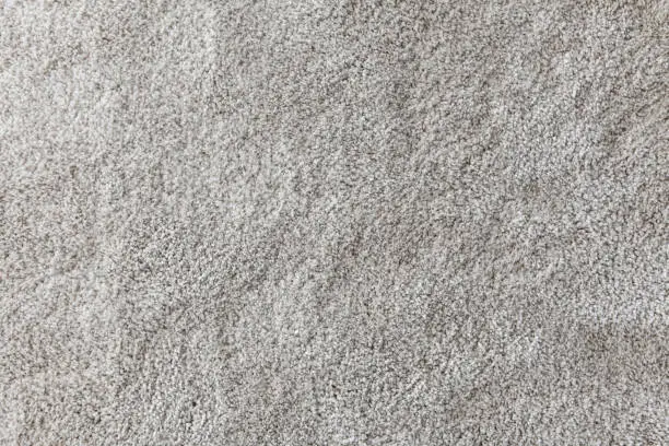 Photo of Beige Carpet