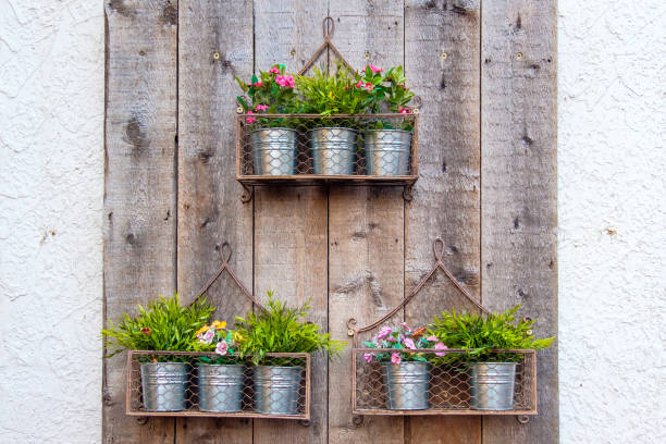 istock Flowers hanging in metallic pots 668993824