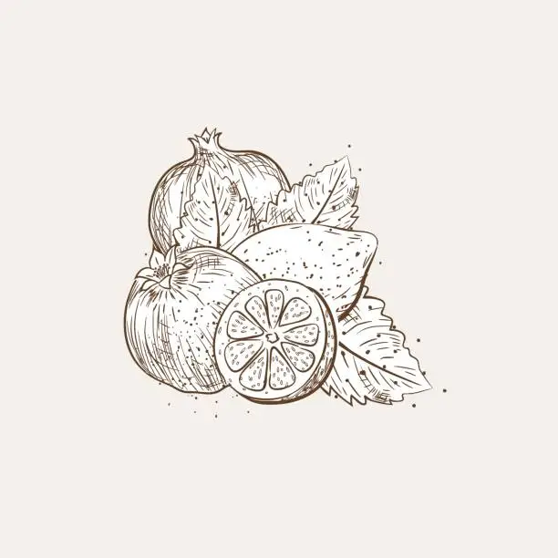 Vector illustration of Vintage Style Hand Drawn Fruit With Texture