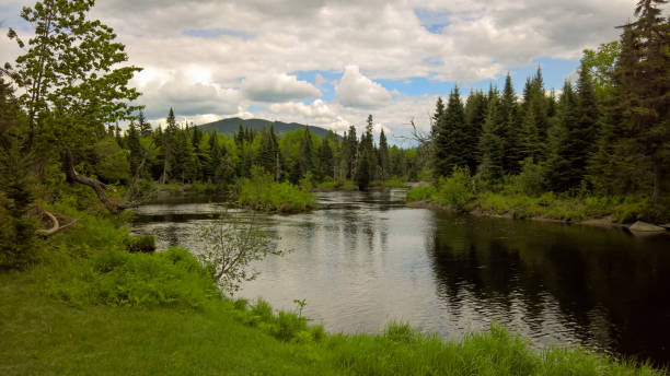istock Relaxing River Portage along the Moose River in Jackman Maine 668996946