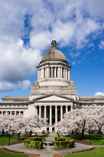 Beautiful flowering blossoms adorn the walkway outside the State Capital in Olympia, Washington