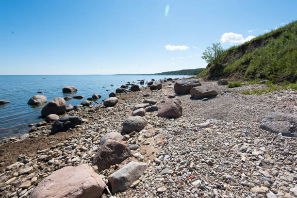 istock Baltic Sea coast in the summer. Estonia. 669016194