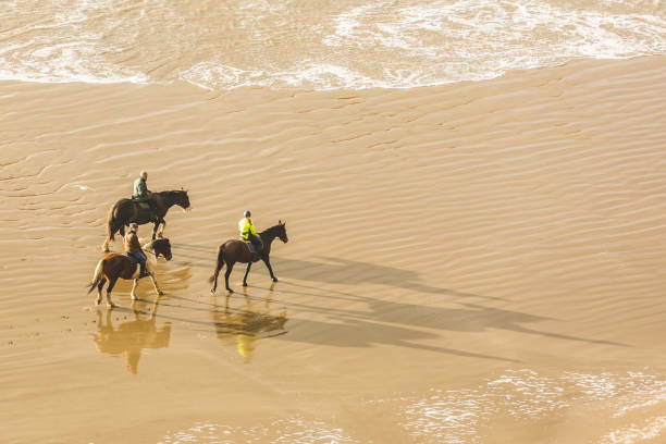 люди верхом на пляже, вид с воздуха - horse animals in the wild water beach стоковые фото и изображения