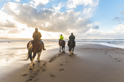 Horse riding on the beach at sunset, France
